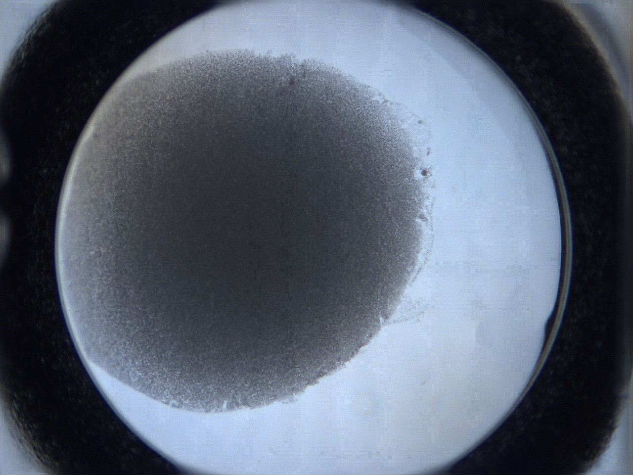 0625_C3_ImagerDefaults_3.jpg