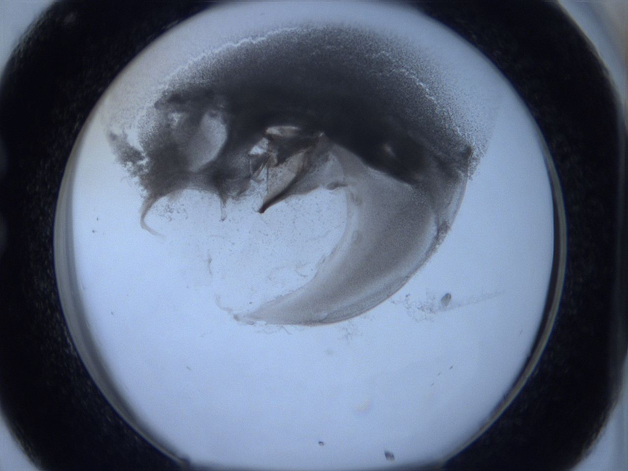 0625_C8_ImagerDefaults_3.jpg