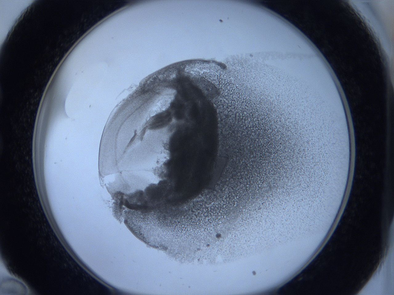 0625_C10_ImagerDefaults_3.jpg