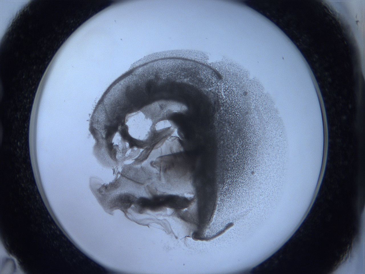 0625_C11_ImagerDefaults_3.jpg