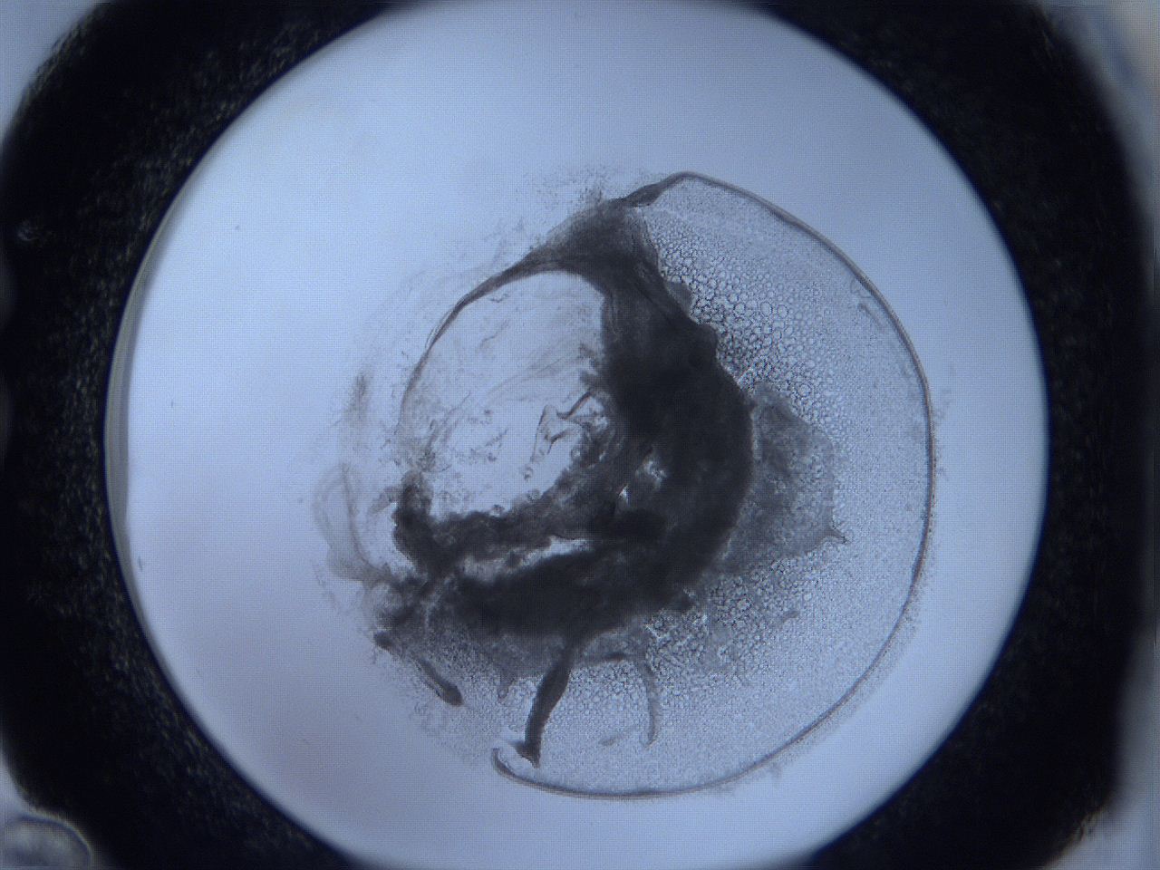 0625_C12_ImagerDefaults_3.jpg