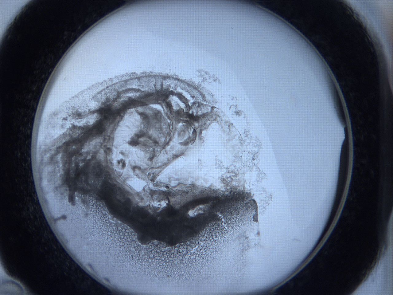 0625_D10_ImagerDefaults_3.jpg