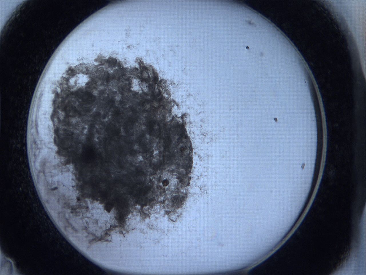 0625_D11_ImagerDefaults_3.jpg