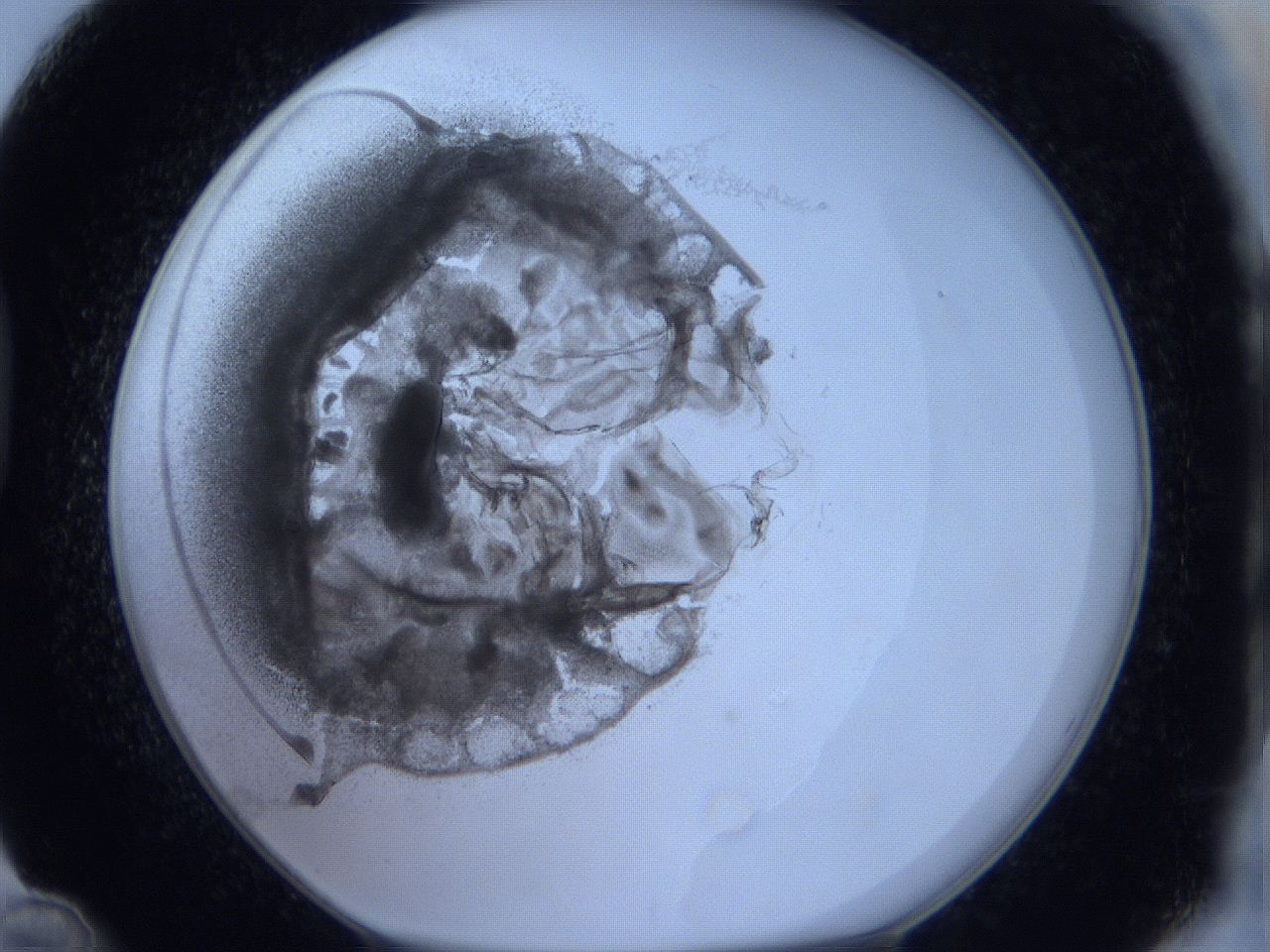 0625_D12_ImagerDefaults_3.jpg