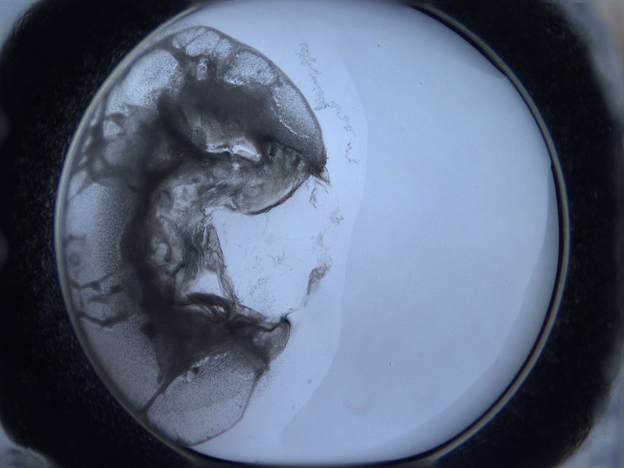 0625_E12_ImagerDefaults_3.jpg