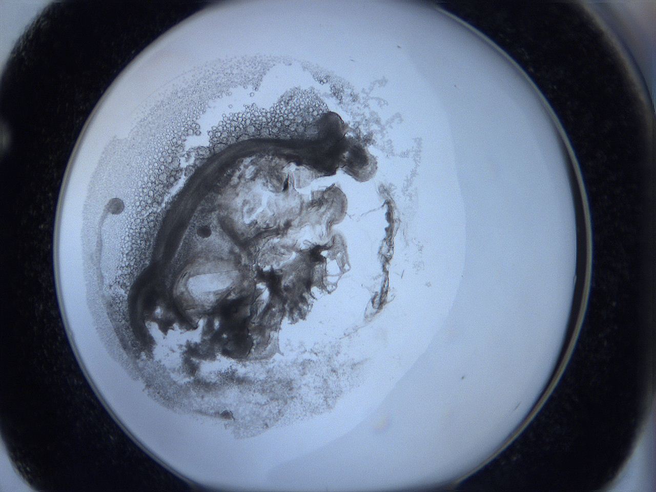 0625_F2_ImagerDefaults_3.jpg