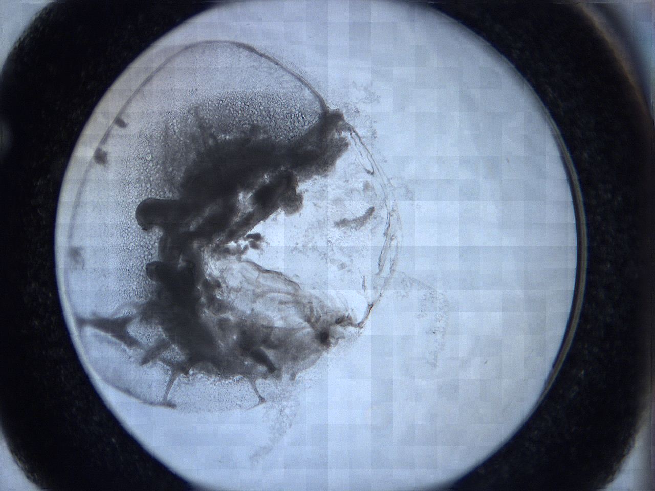 0625_F3_ImagerDefaults_3.jpg