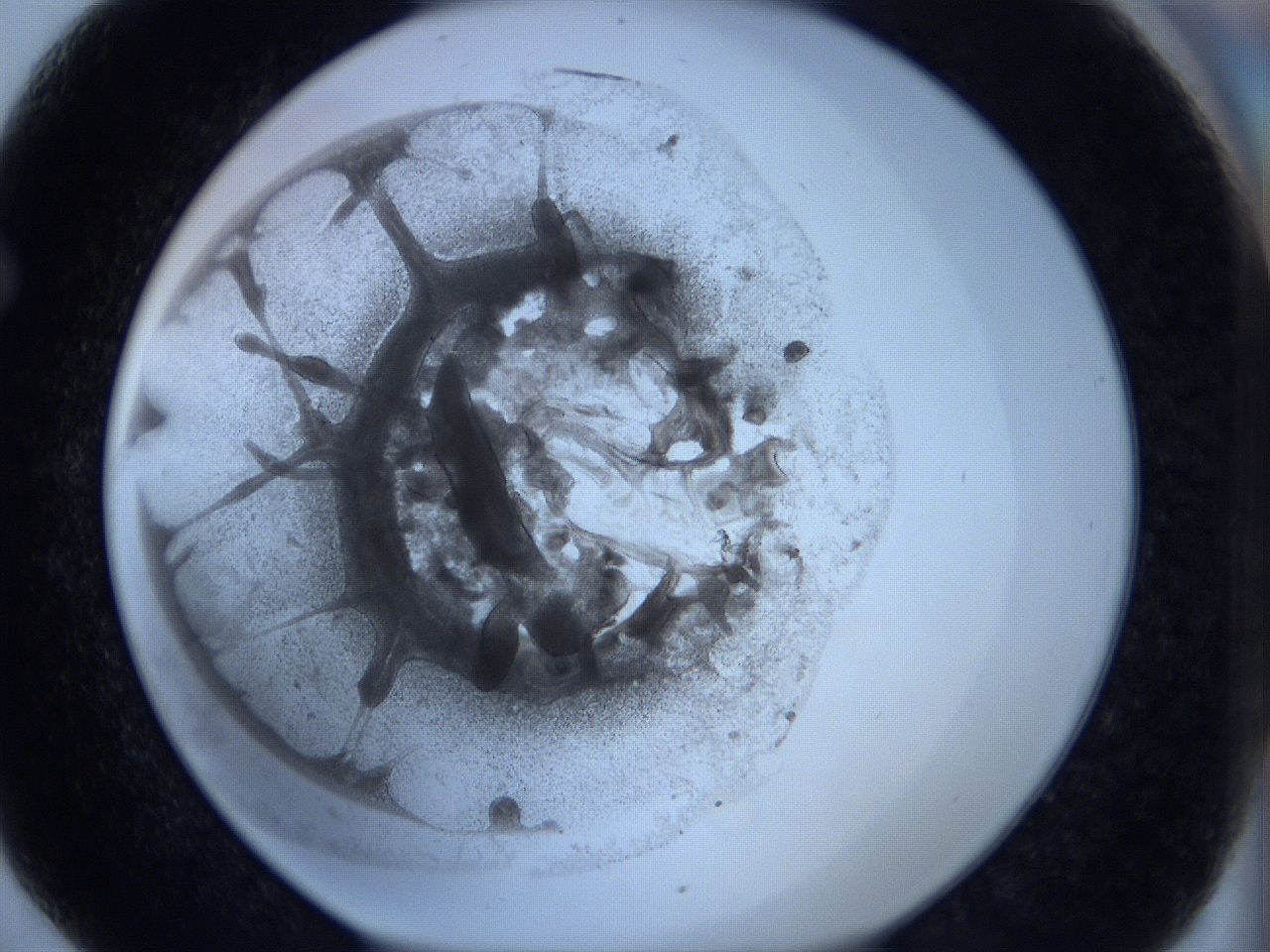 0625_F6_ImagerDefaults_3.jpg