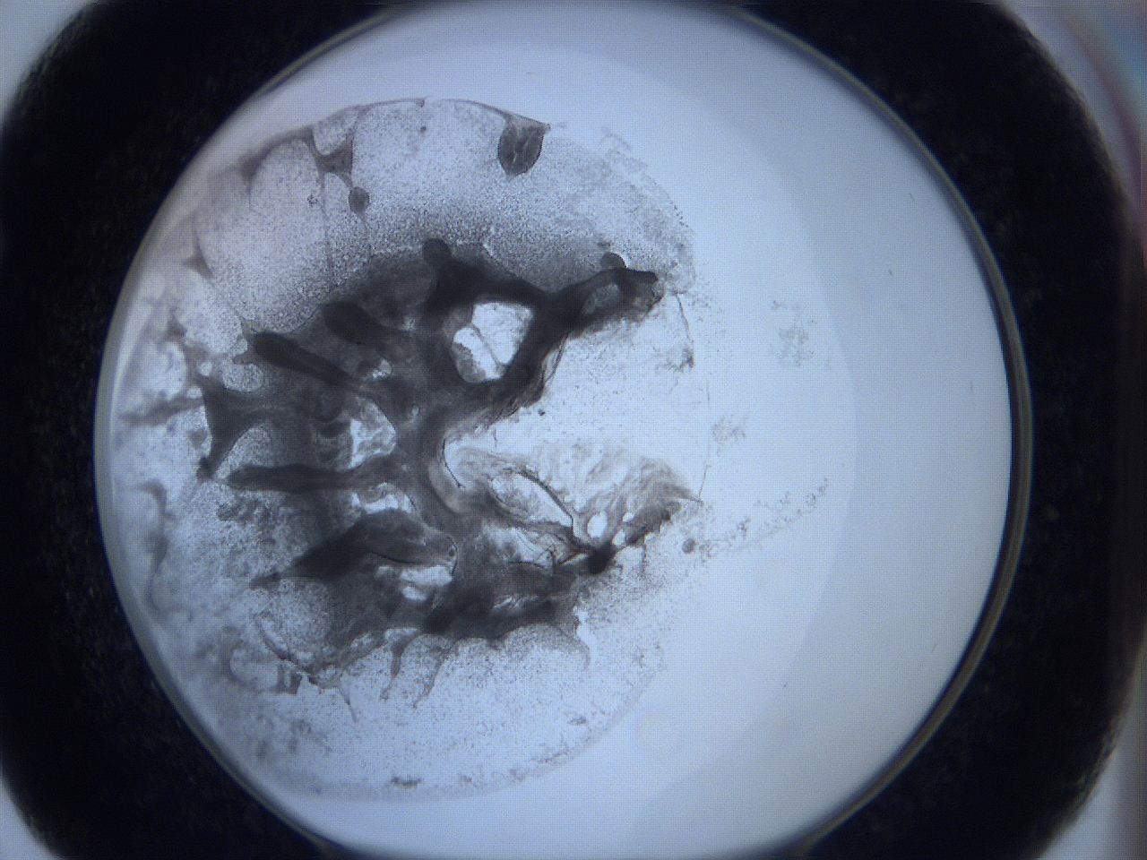 0625_F7_ImagerDefaults_3.jpg