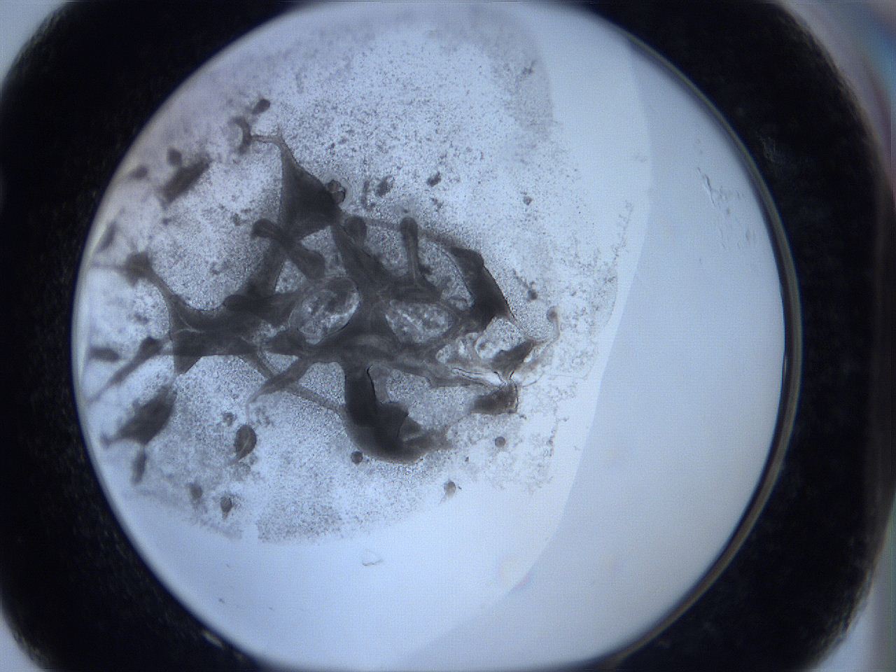 0625_F8_ImagerDefaults_3.jpg