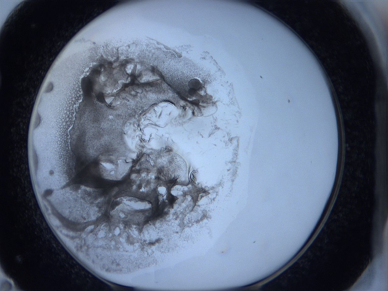 0625_F11_ImagerDefaults_3.jpg