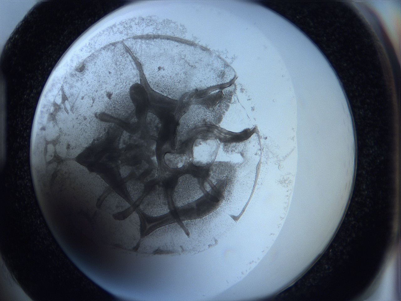 0625_H1_ImagerDefaults_3.jpg