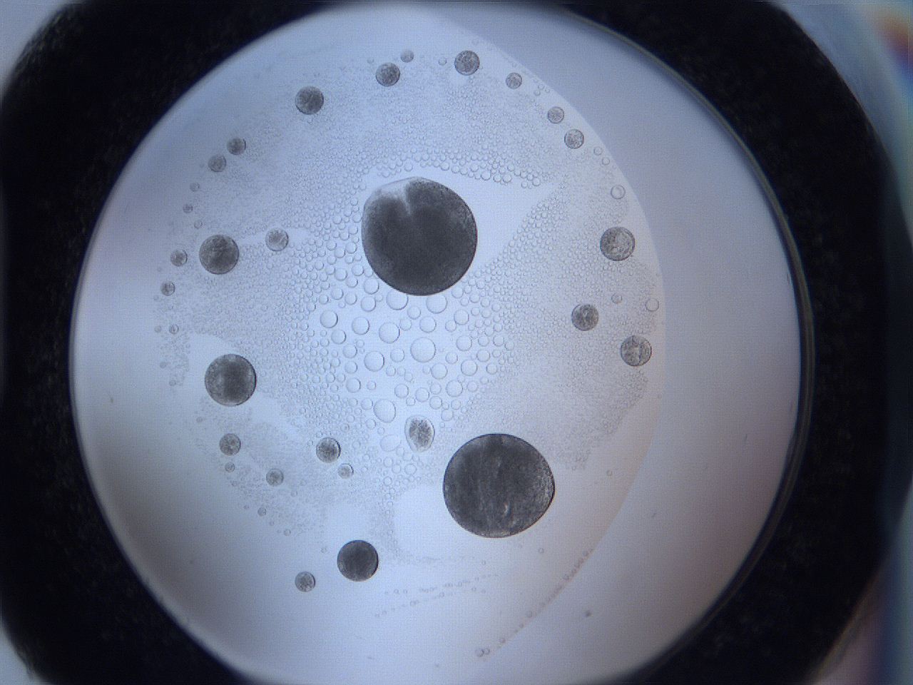 0625_H9_ImagerDefaults_5.jpg