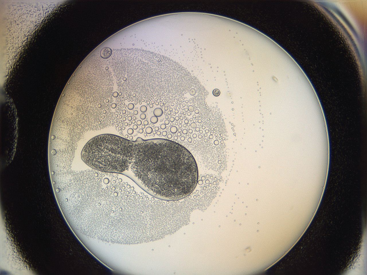 0626_D4_ImagerDefaults_5.jpg