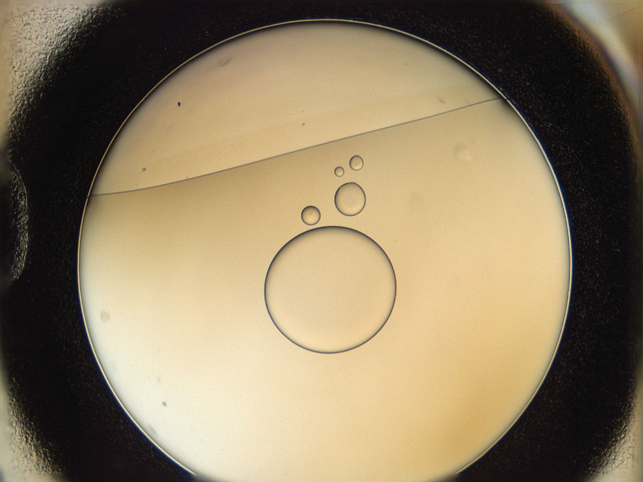 0626_D1_ImagerDefaults_5.jpg