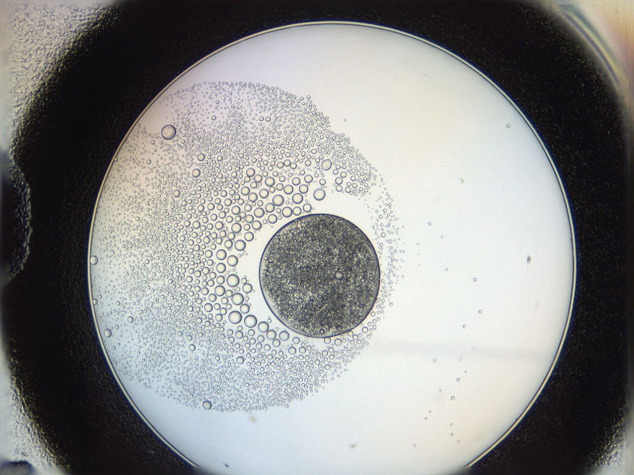0626_D7_ImagerDefaults_5.jpg