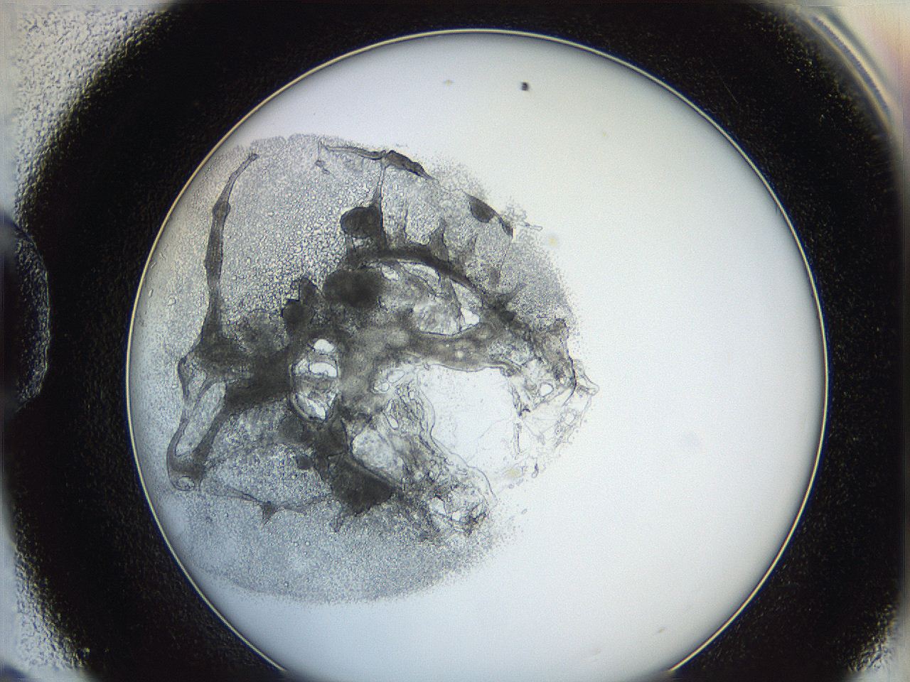 0626_D9_ImagerDefaults_3.jpg