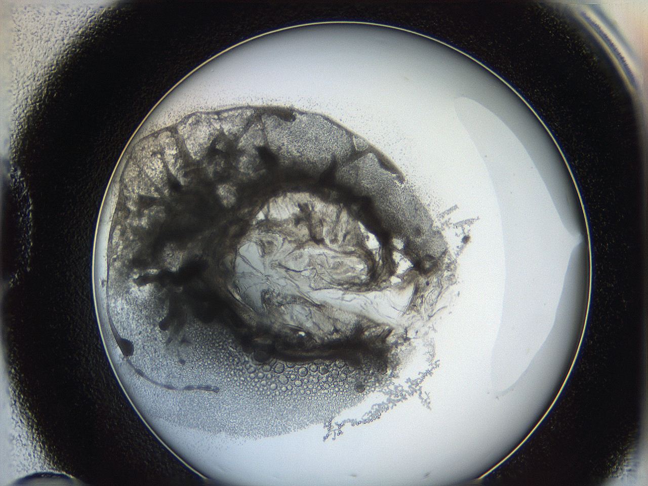 0626_D10_ImagerDefaults_3.jpg