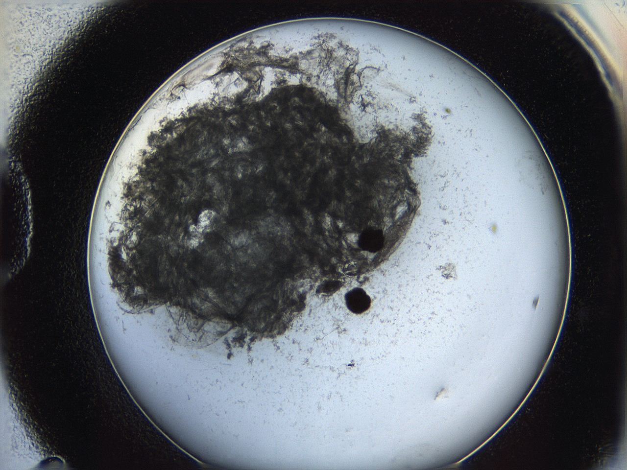0626_D11_ImagerDefaults_3.jpg