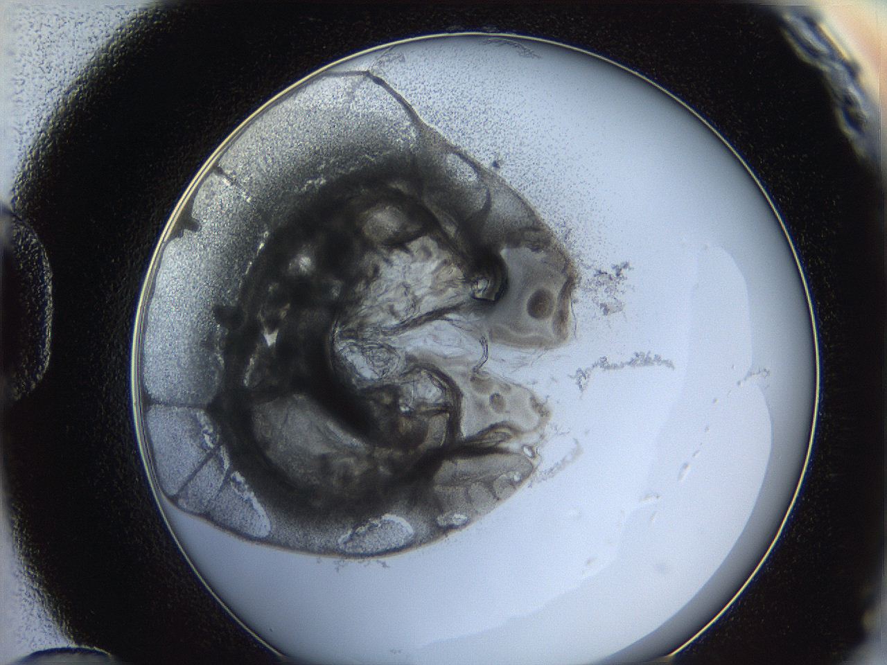 0626_D12_ImagerDefaults_3.jpg