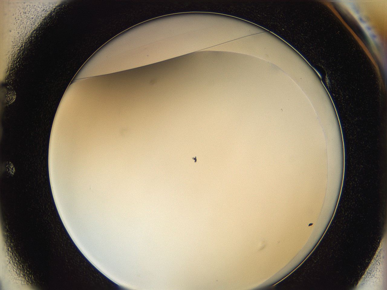0626_E1_ImagerDefaults_5.jpg