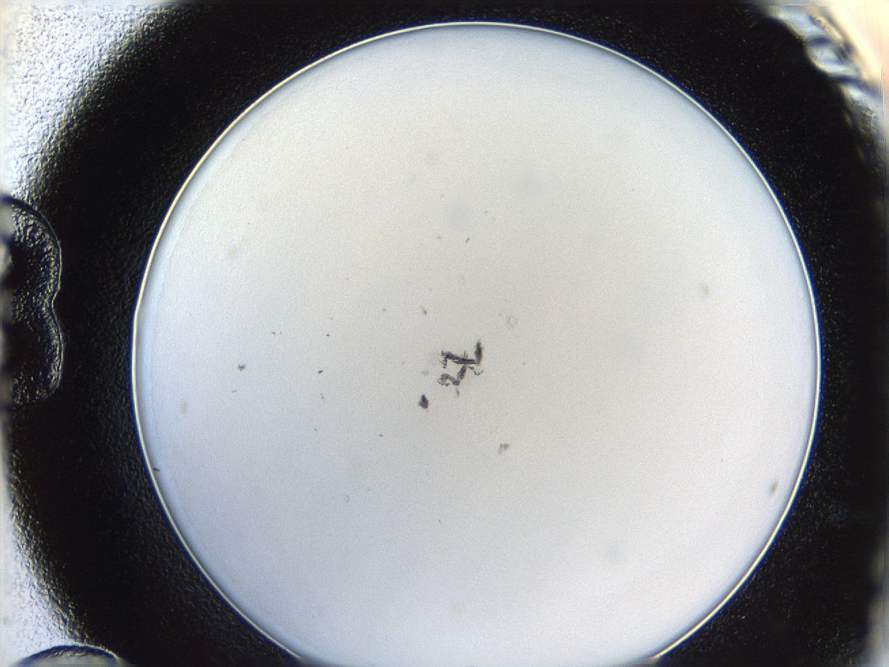 0626_B12_ImagerDefaults_1.jpg