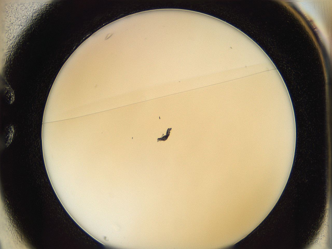 0626_C1_ImagerDefaults_0.jpg