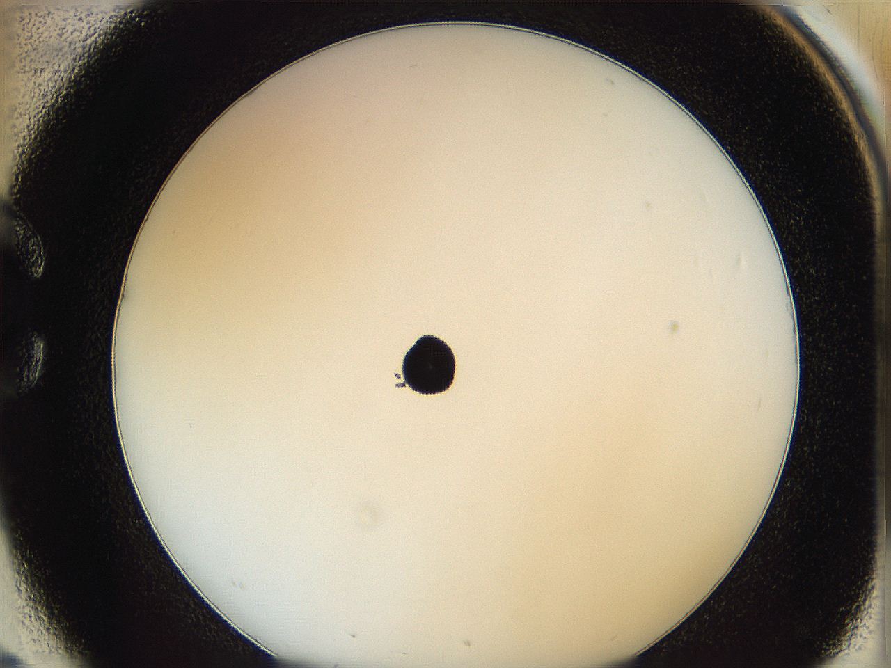 0626_C2_ImagerDefaults_0.jpg