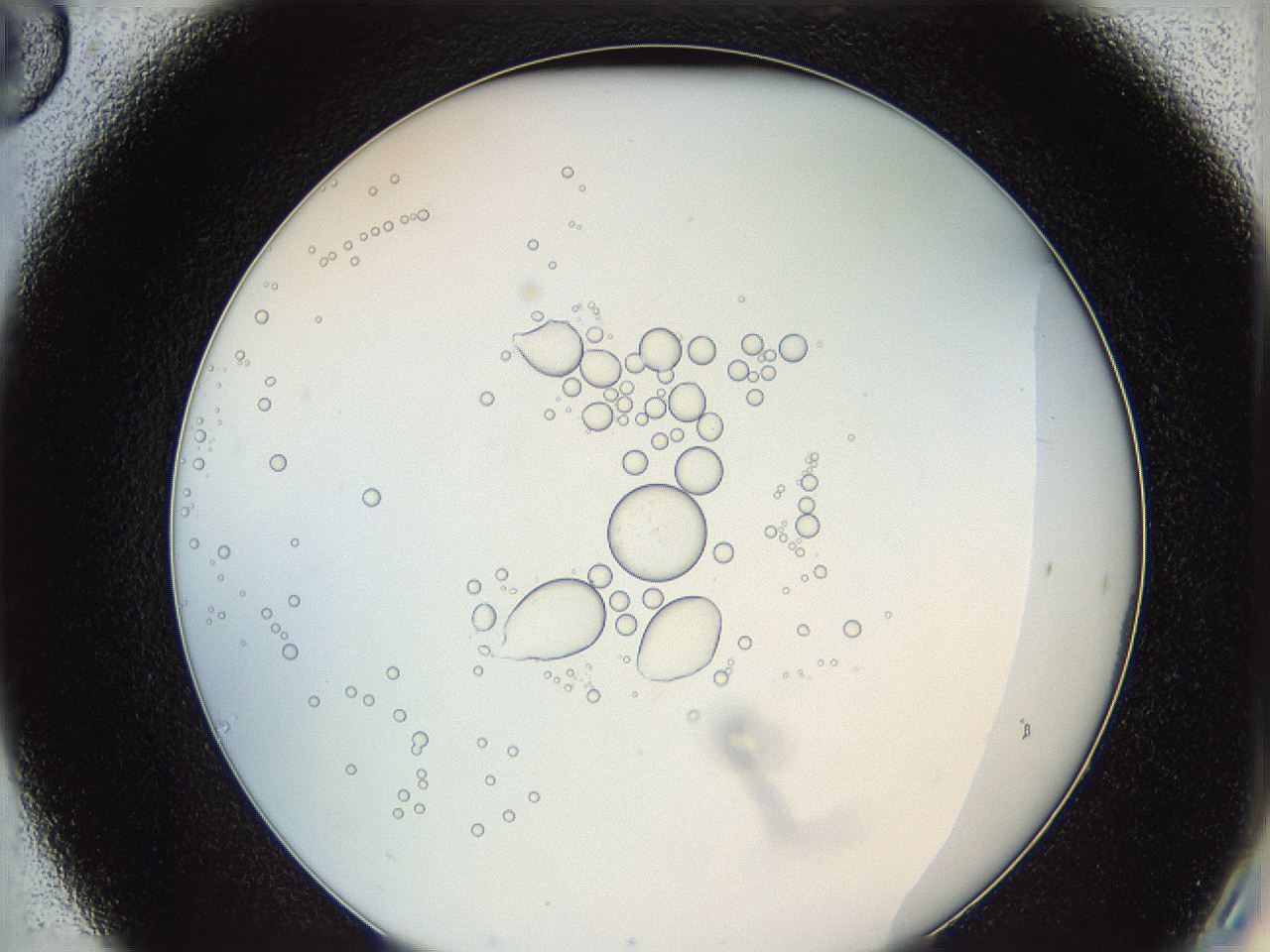 0626_C6_ImagerDefaults_0.jpg