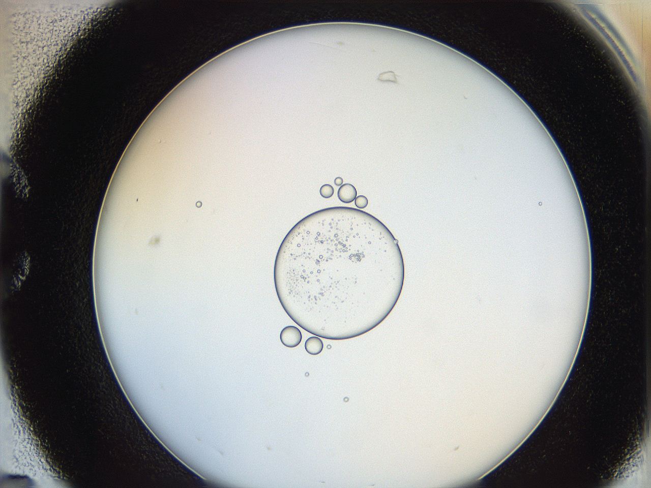 0626_C7_ImagerDefaults_5.jpg