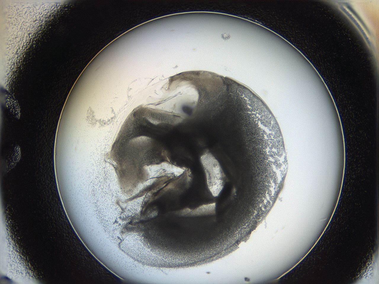 0626_C8_ImagerDefaults_3.jpg