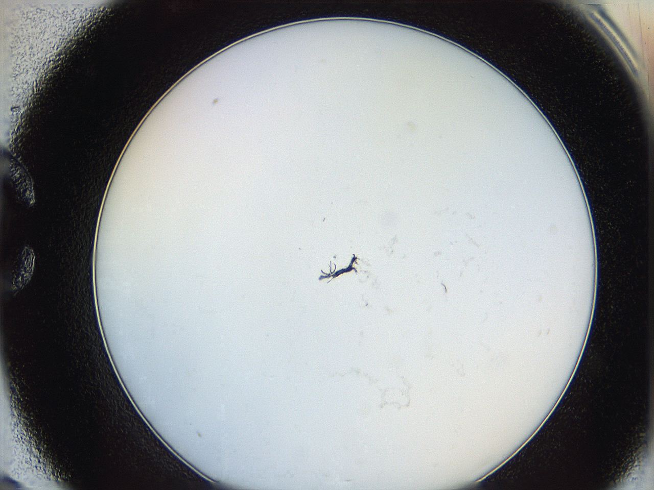 0626_C9_ImagerDefaults_0.jpg