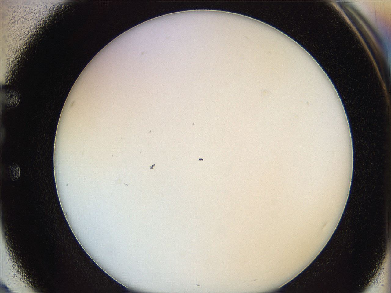 0626_E3_ImagerDefaults_0.jpg