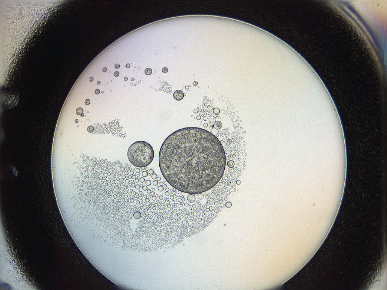 0626_E5_ImagerDefaults_5.jpg