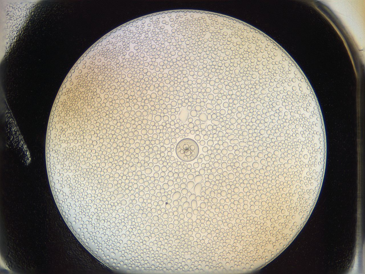 0626_A2_ImagerDefaults_5.jpg