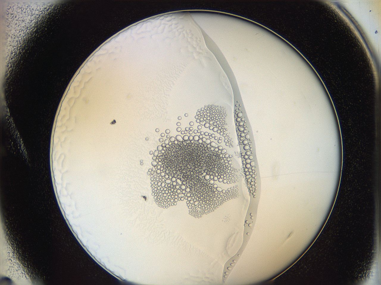 0626_A4_ImagerDefaults_5.jpg