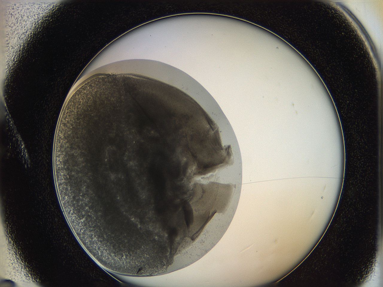 0626_A5_ImagerDefaults_3.jpg