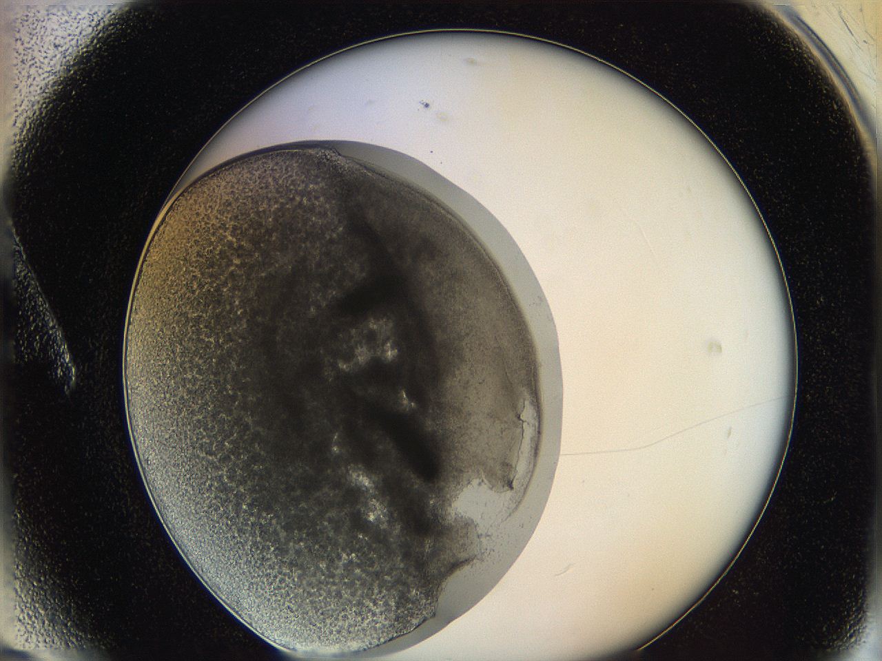 0626_A6_ImagerDefaults_3.jpg