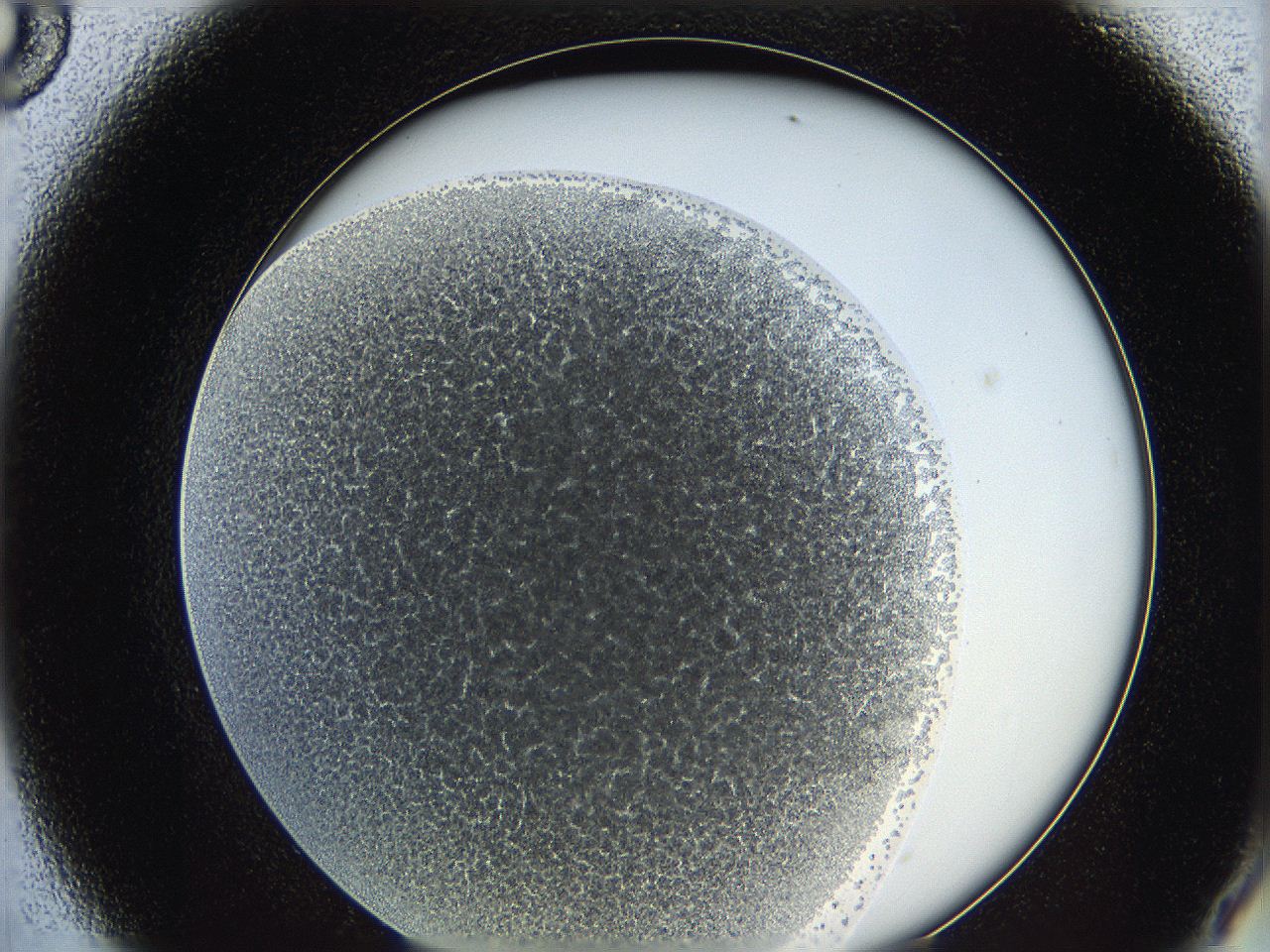 0626_A8_ImagerDefaults_4.jpg
