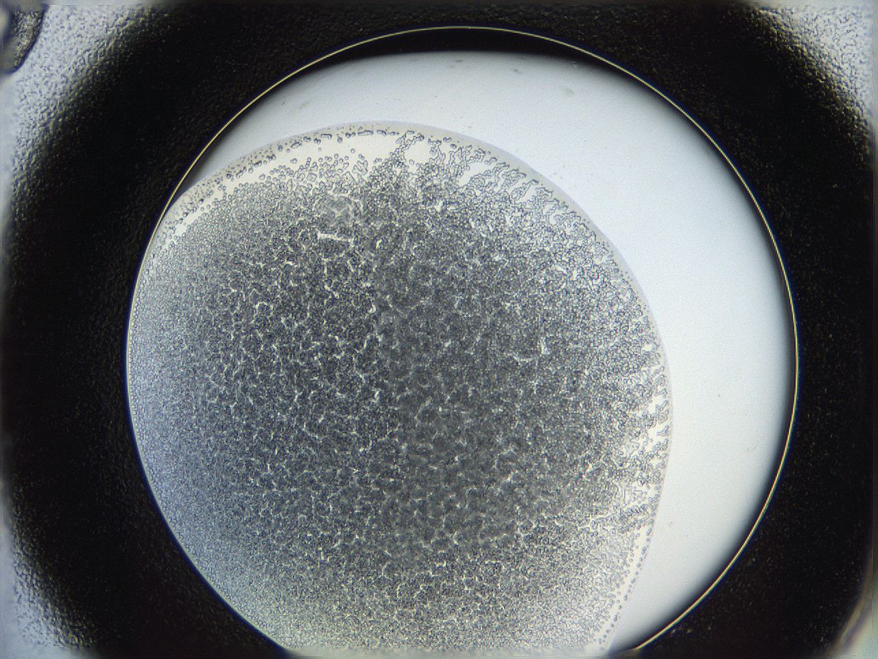 0626_A9_ImagerDefaults_4.jpg