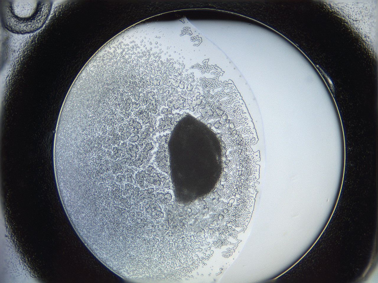 0626_A10_ImagerDefaults_5.jpg
