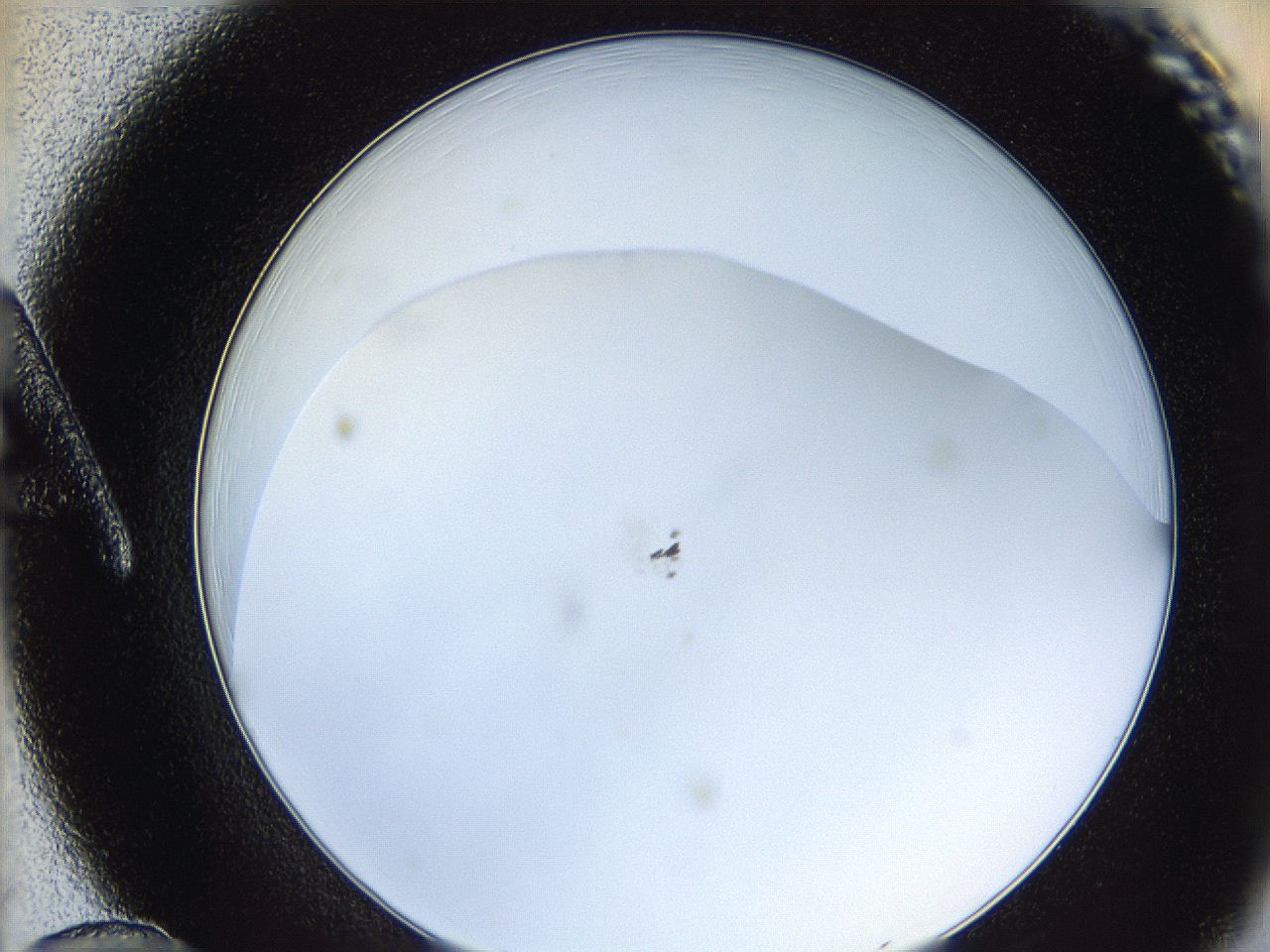 0626_A12_ImagerDefaults_0.jpg
