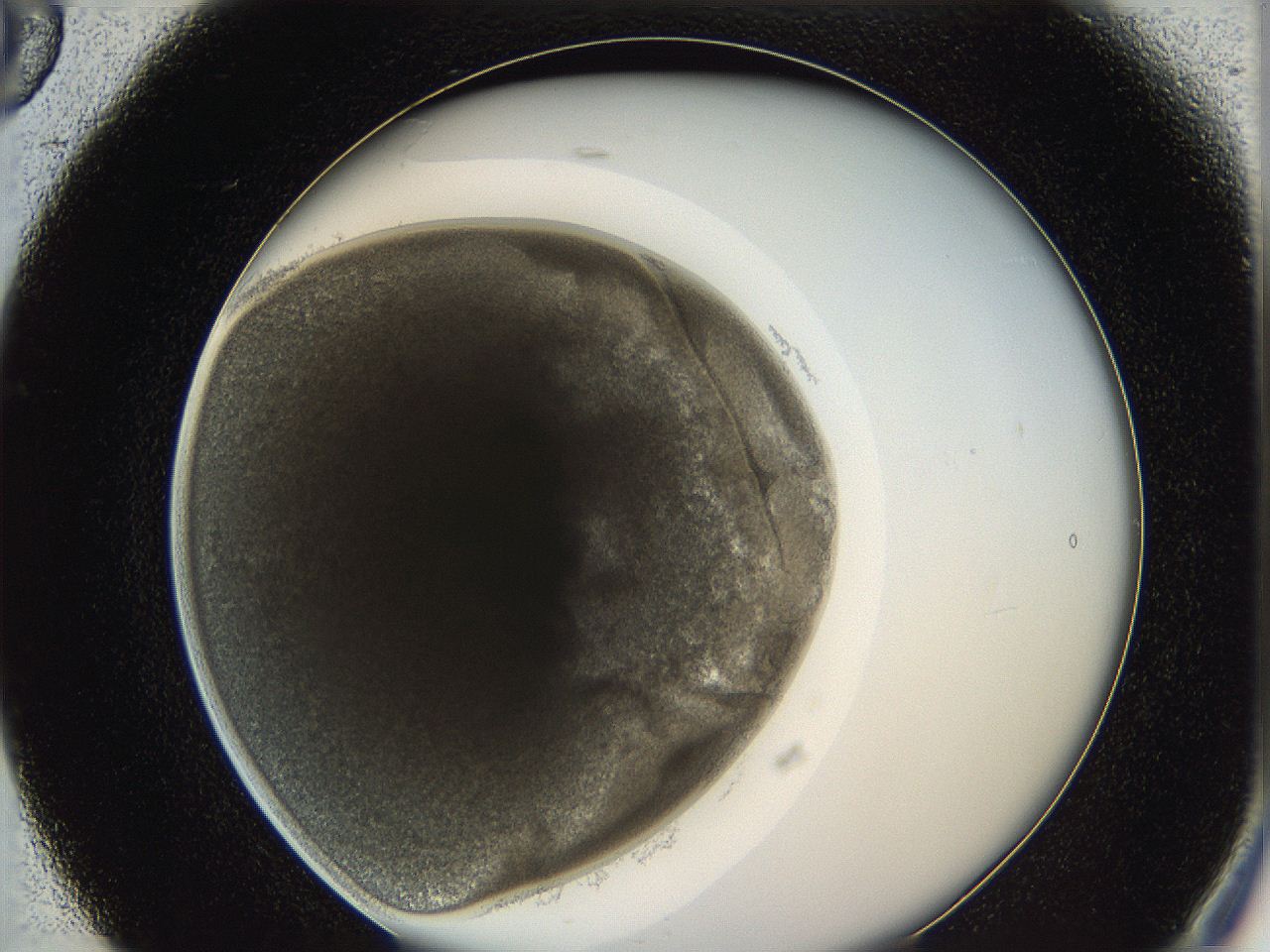 0626_B5_ImagerDefaults_3.jpg