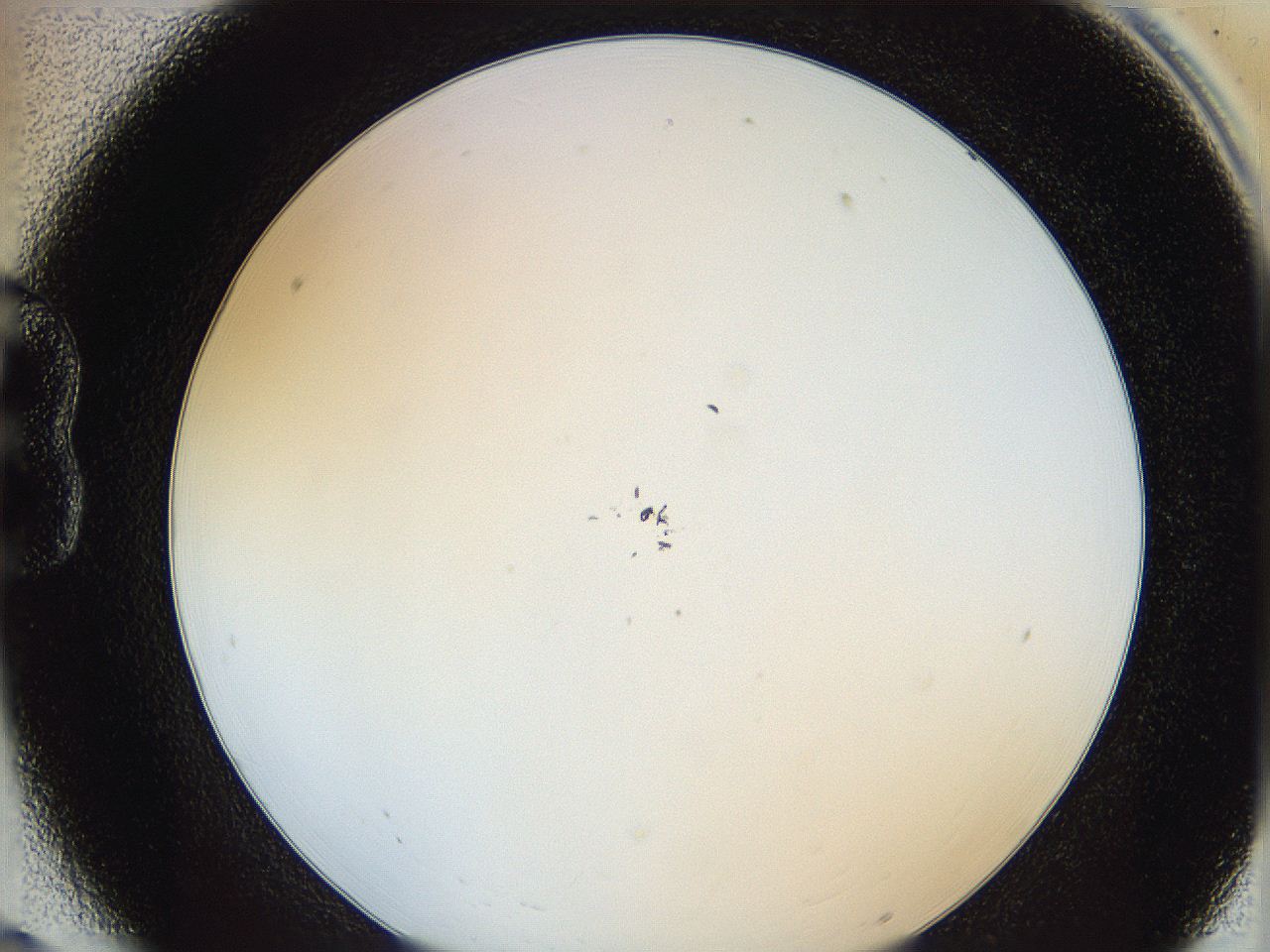 0626_B6_ImagerDefaults_0.jpg