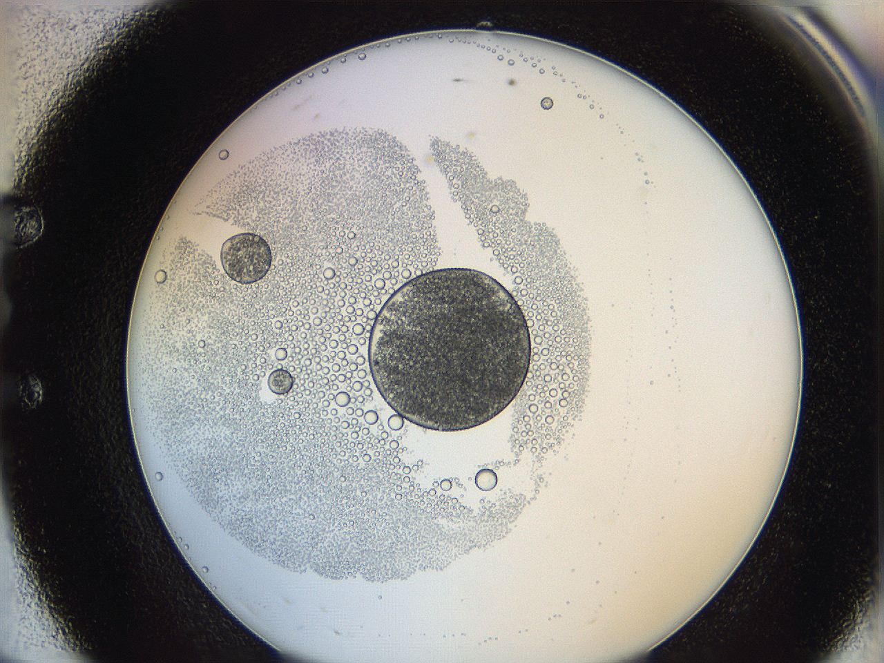 0626_E8_ImagerDefaults_5.jpg