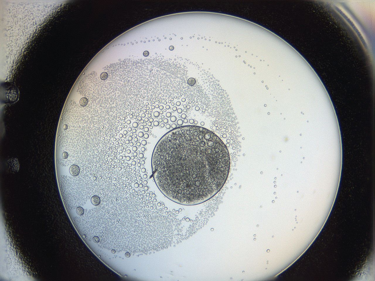 0626_E9_ImagerDefaults_5.jpg