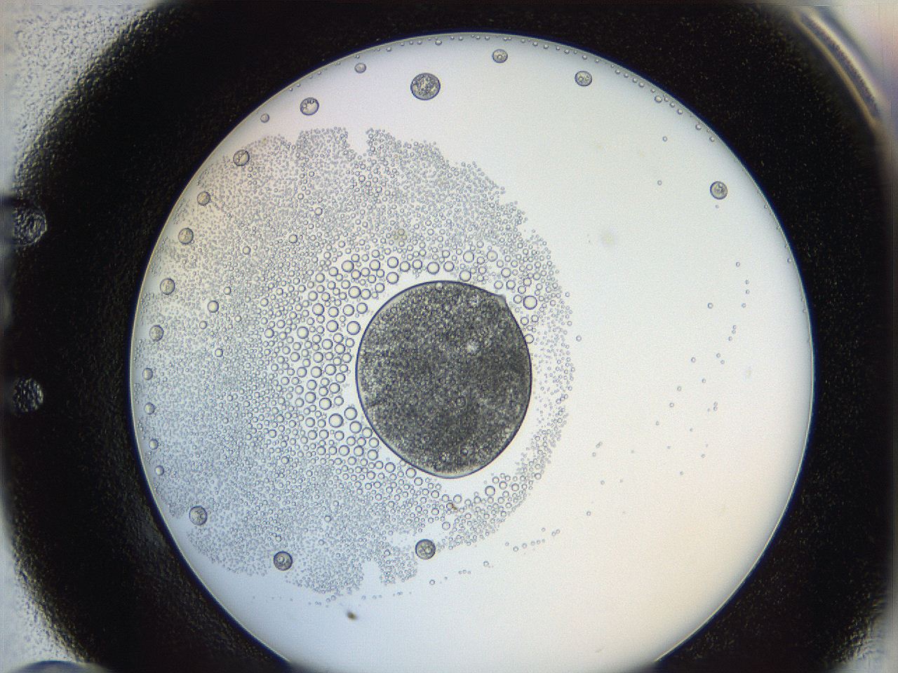 0626_E10_ImagerDefaults_5.jpg