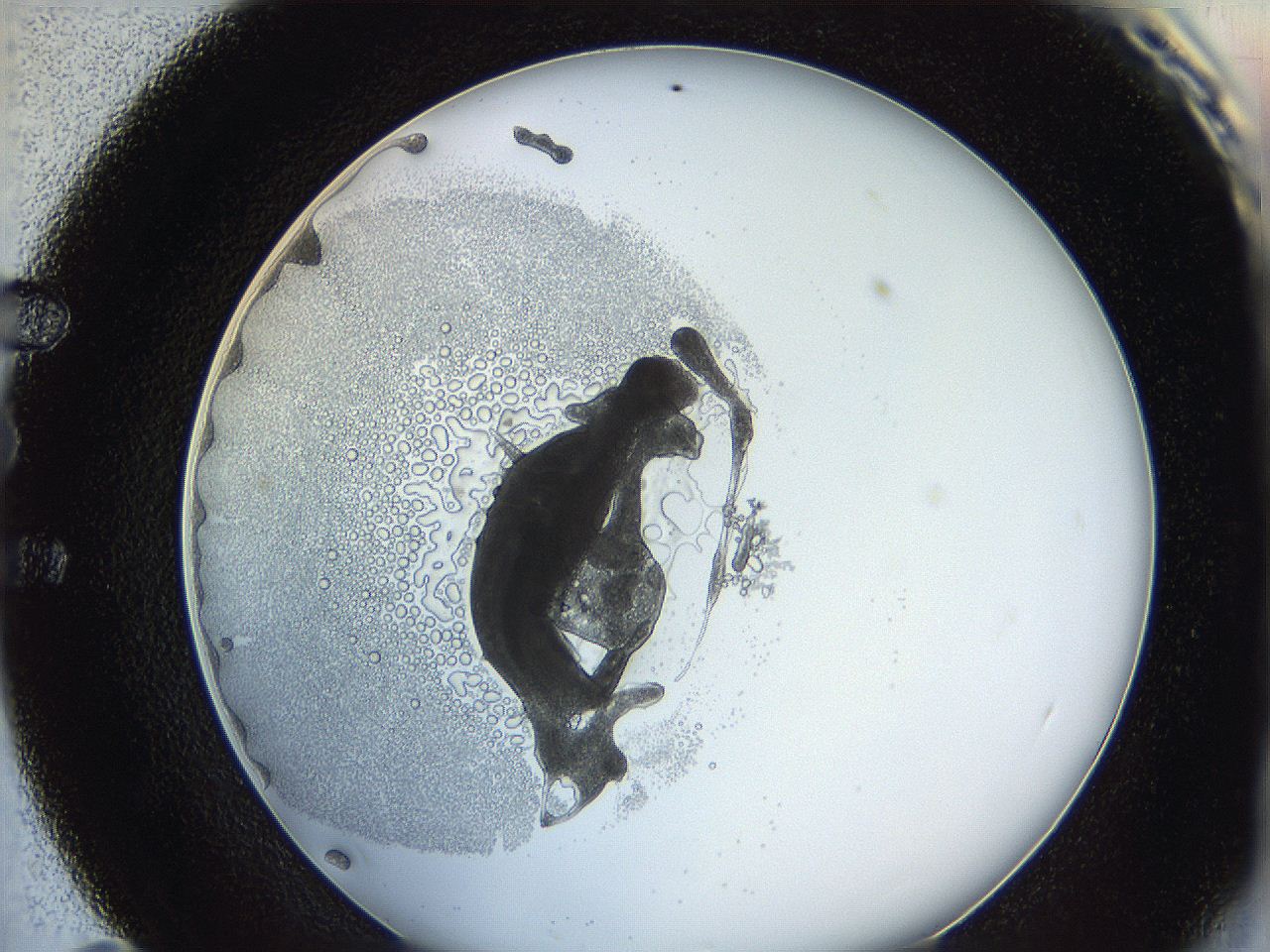 0626_E11_ImagerDefaults_5.jpg