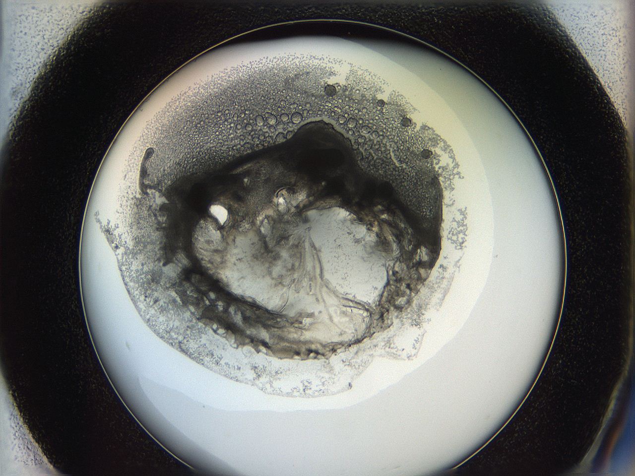 0626_F1_ImagerDefaults_3.jpg