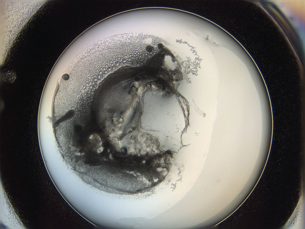 0626_F2_ImagerDefaults_3.jpg